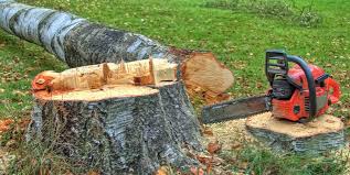 Best Tree Removal Services  in Hampshire, IL